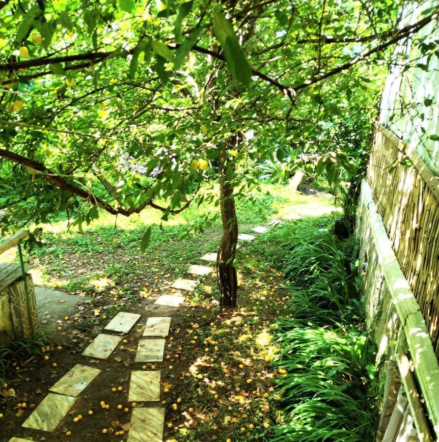 Hostel Eco Chakvi Exterior photo